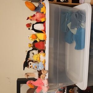 Bird beanie babie bundle